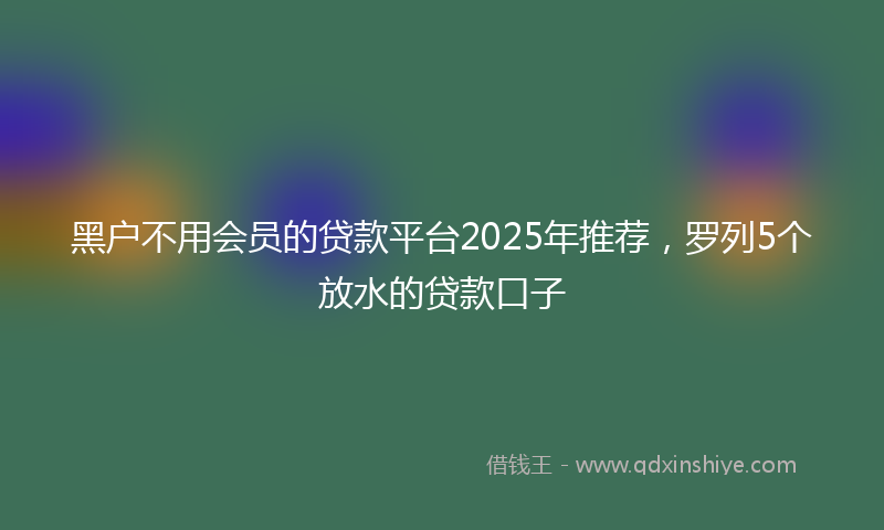 黑户不用会员的贷款平台2025年推荐，罗列5个放水的贷款口子