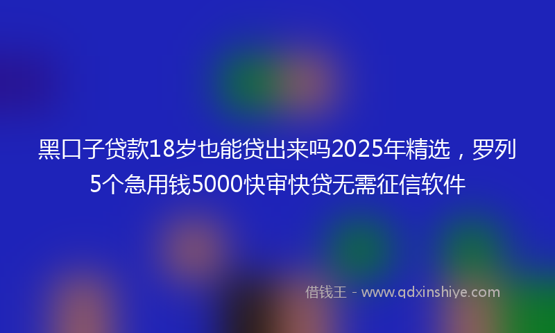 黑口子贷款18岁也能贷出来吗2025年精选，罗列5个急用钱5000快审快贷无需征信软件