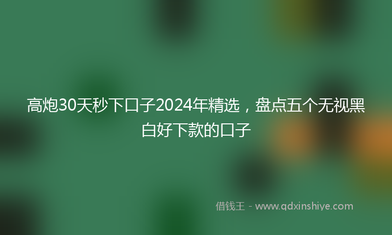 高炮30天秒下口子2024年精选，盘点五个无视黑白好下款的口子