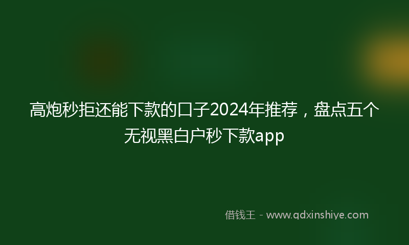 高炮秒拒还能下款的口子2024年推荐，盘点五个无视黑白户秒下款app
