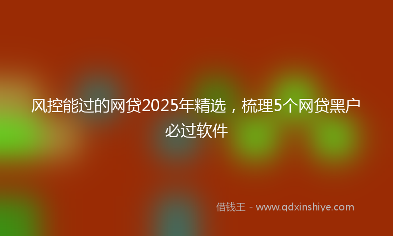 风控能过的网贷2025年精选，梳理5个网贷黑户必过软件