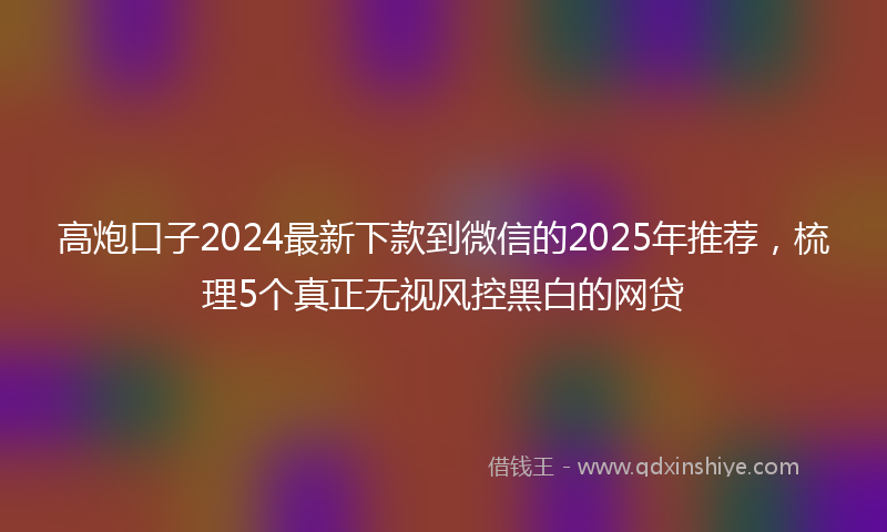 高炮口子2024最新下款到微信的2025年推荐，梳理5个真正无视风控黑白的网贷