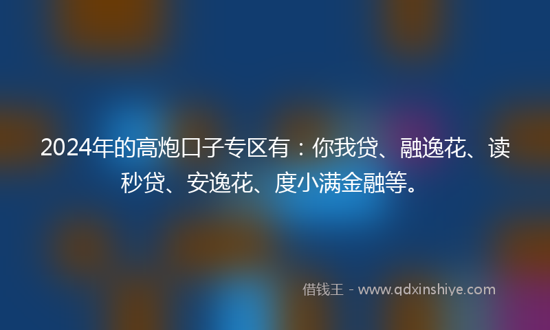 2024年的高炮口子专区有：你我贷、融逸花、读秒贷、安逸花、度小满金融等。