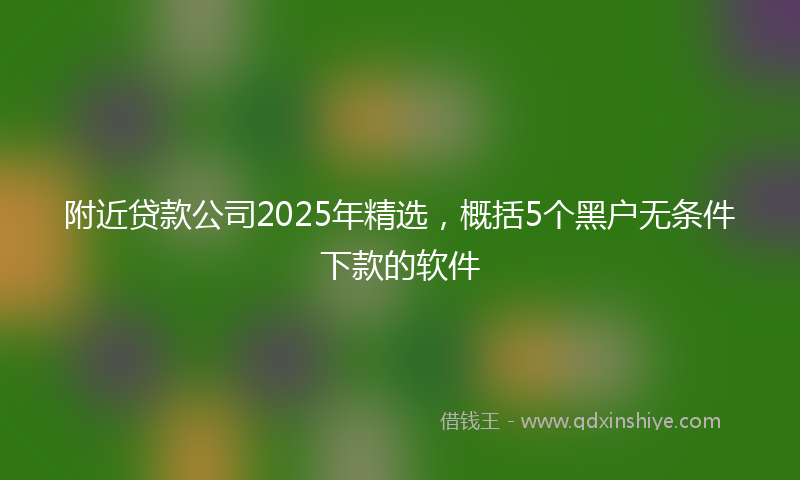 附近贷款公司2025年精选，概括5个黑户无条件下款的软件