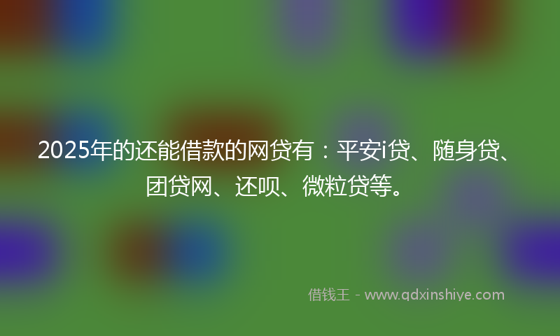 2025年的还能借款的网贷有：平安i贷、随身贷、团贷网、还呗、微粒贷等。