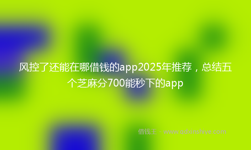 风控了还能在哪借钱的app2025年推荐，总结五个芝麻分700能秒下的app