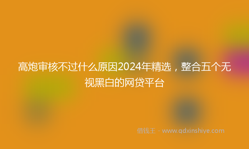 高炮审核不过什么原因2024年精选，整合五个无视黑白的网贷平台