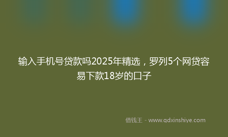 输入手机号贷款吗2025年精选，罗列5个网贷容易下款18岁的口子