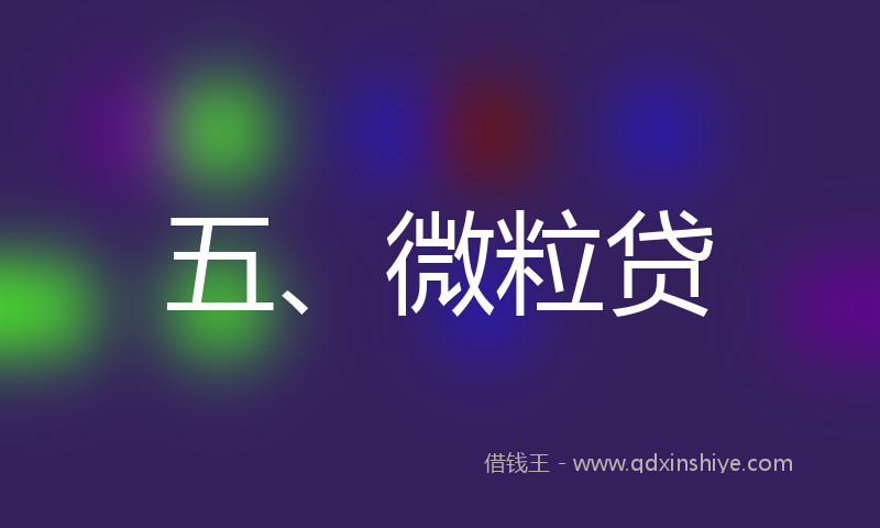 五、微粒贷