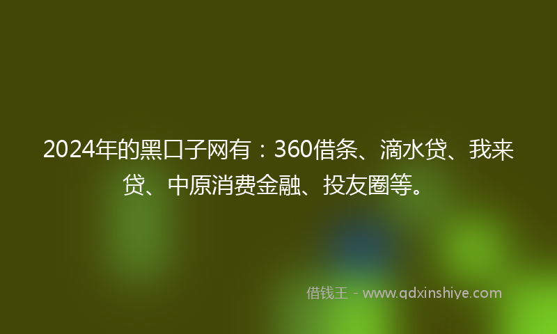 2024年的黑口子网有：360借条、滴水贷、我来贷、中原消费金融、投友圈等。