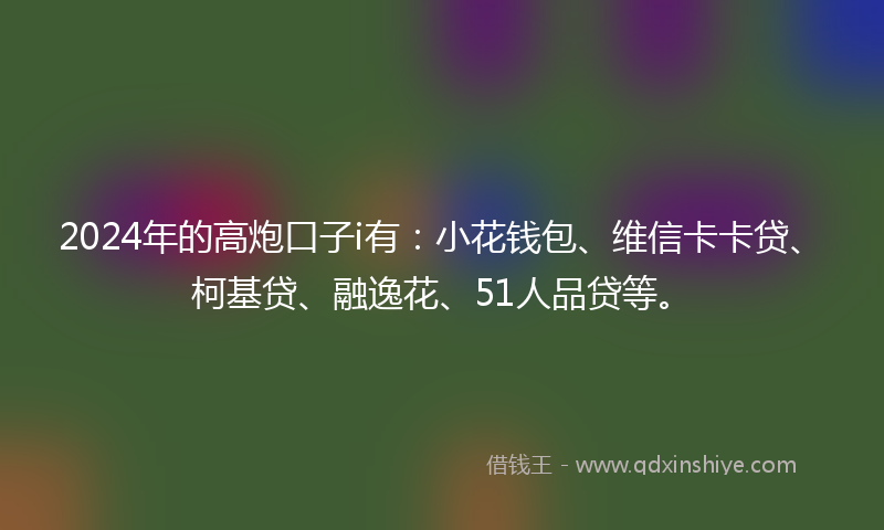 2024年的高炮口子i有：小花钱包、维信卡卡贷、柯基贷、融逸花、51人品贷等。