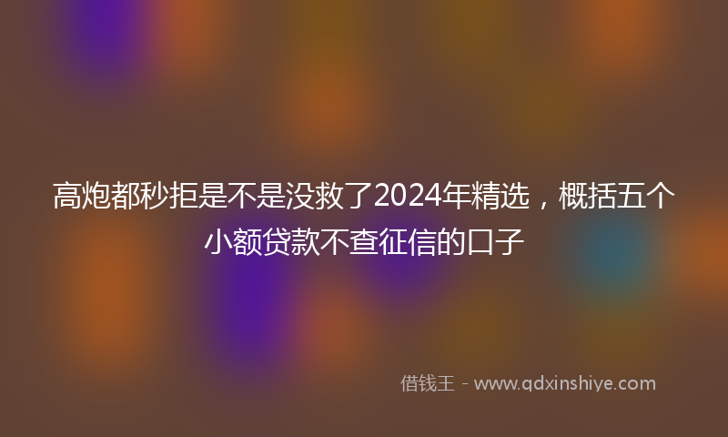 高炮都秒拒是不是没救了2024年精选，概括五个小额贷款不查征信的口子