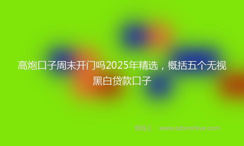 高炮口子周末开门吗2025年精选，概括五个无视黑白贷款口子