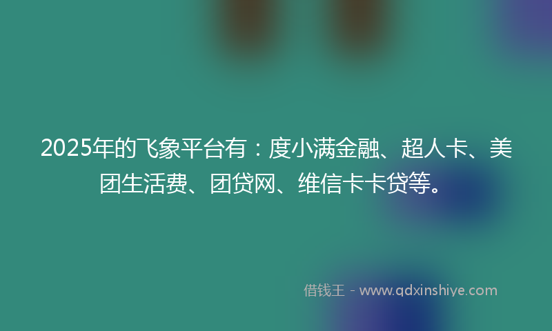 2025年的飞象平台有：度小满金融、超人卡、美团生活费、团贷网、维信卡卡贷等。