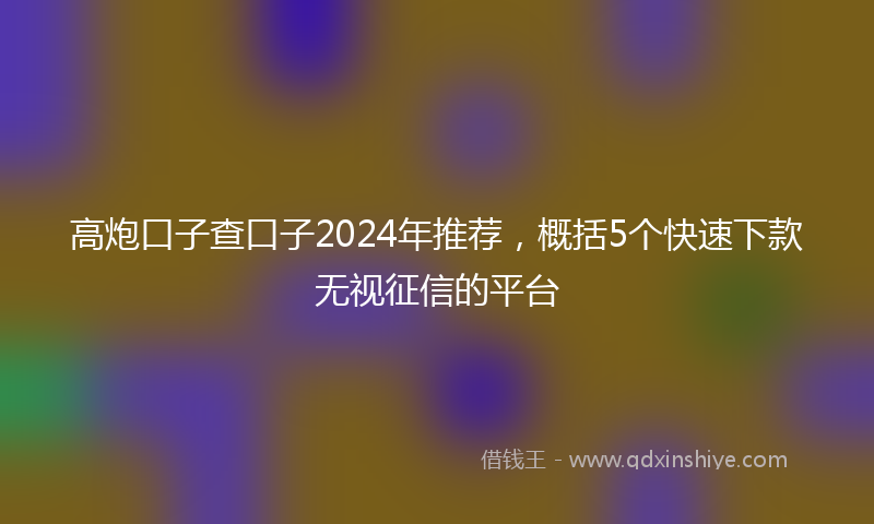 高炮口子查口子2024年推荐，概括5个快速下款无视征信的平台