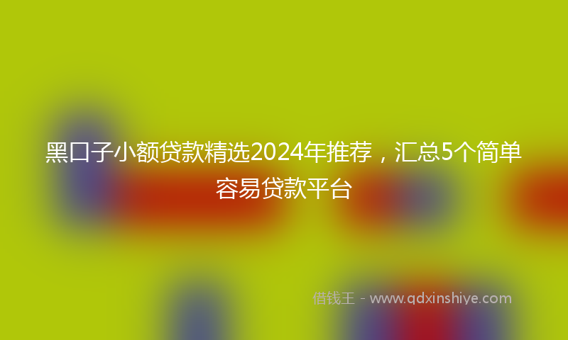 黑口子小额贷款精选2024年推荐，汇总5个简单容易贷款平台