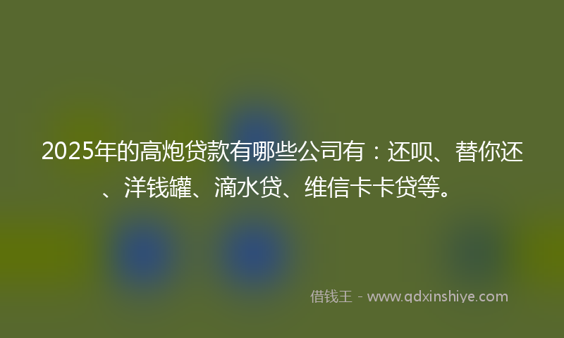 2025年的高炮贷款有哪些公司有：还呗、替你还、洋钱罐、滴水贷、维信卡卡贷等。