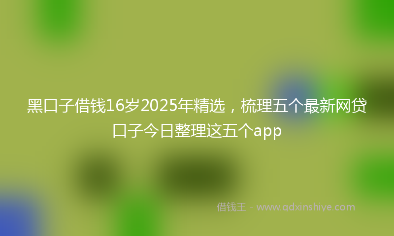 黑口子借钱16岁2025年精选，梳理五个最新网贷口子今日整理这五个app