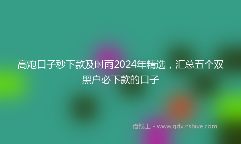 高炮口子秒下款及时雨2024年精选，汇总五个双黑户必下款的口子