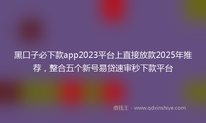 黑口子必下款app2023平台上直接放款2025年推荐，整合五个新号易贷速审秒下款平台
