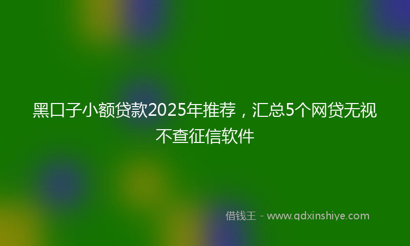 黑口子小额贷款2025年推荐，汇总5个网贷无视不查征信软件