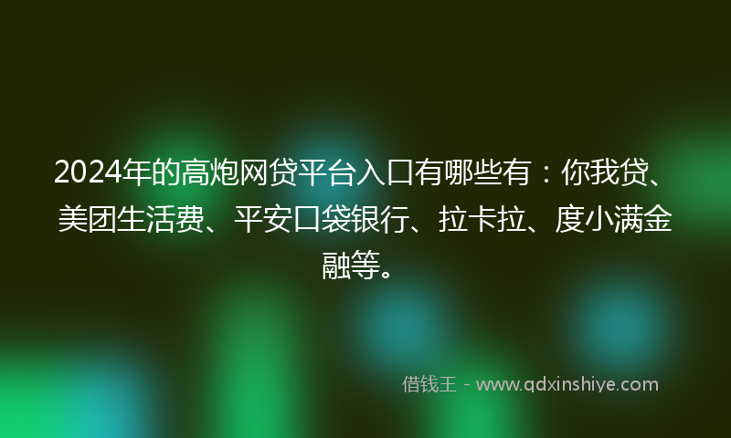 2024年的高炮网贷平台入口有哪些有：你我贷、美团生活费、平安口袋银行、拉卡拉、度小满金融等。