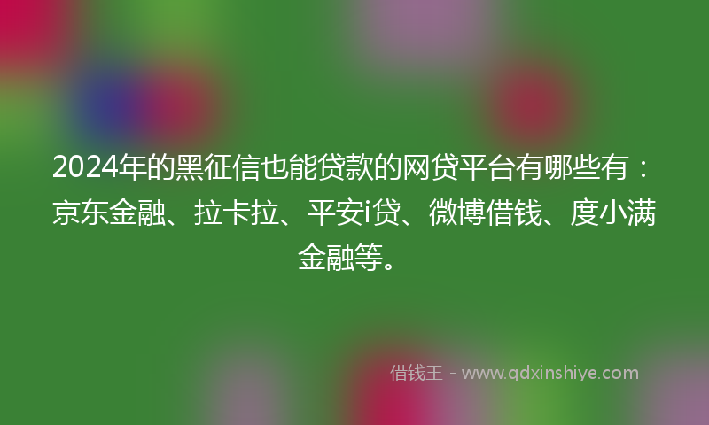2024年的黑征信也能贷款的网贷平台有哪些有：京东金融、拉卡拉、平安i贷、微博借钱、度小满金融等。