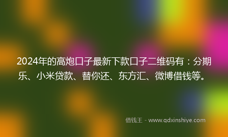 2024年的高炮口子最新下款口子二维码有：分期乐、小米贷款、替你还、东方汇、微博借钱等。