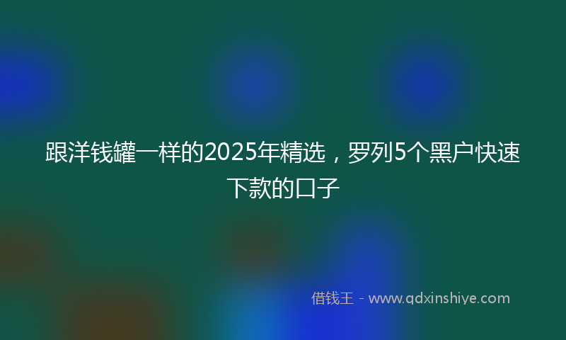 跟洋钱罐一样的2025年精选，罗列5个黑户快速下款的口子