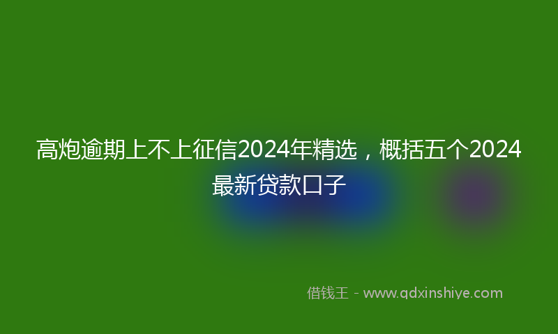 高炮逾期上不上征信2024年精选，概括五个2024最新贷款口子