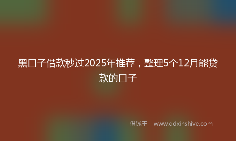 黑口子借款秒过2025年推荐，整理5个12月能贷款的口子