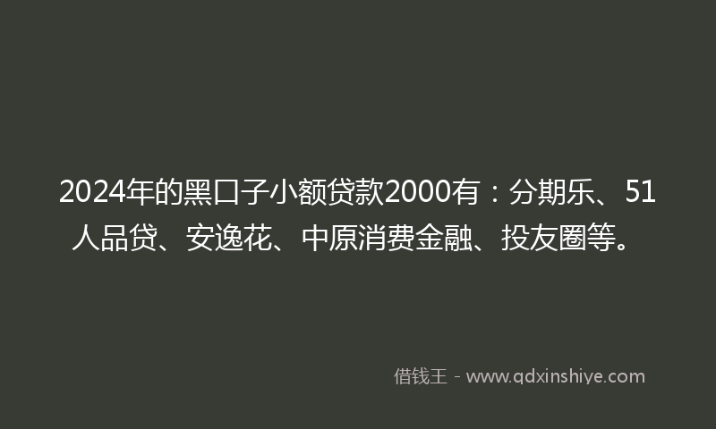 2024年的黑口子小额贷款2000有：分期乐、51人品贷、安逸花、中原消费金融、投友圈等。