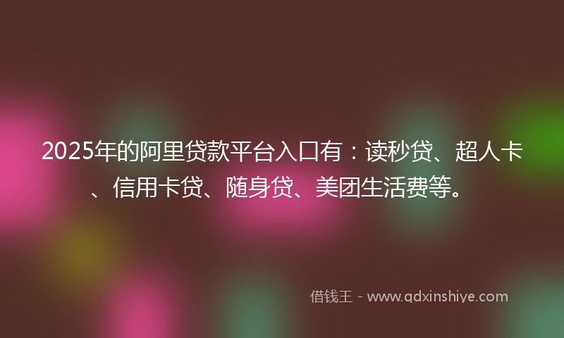 2025年的阿里贷款平台入口有：读秒贷、超人卡、信用卡贷、随身贷、美团生活费等。