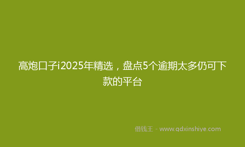 高炮口子i2025年精选，盘点5个逾期太多仍可下款的平台