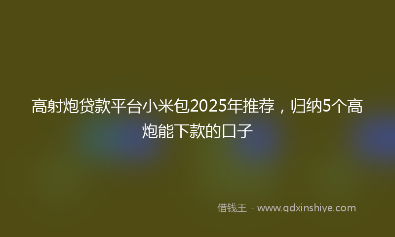 高射炮贷款平台小米包2025年推荐，归纳5个高炮能下款的口子