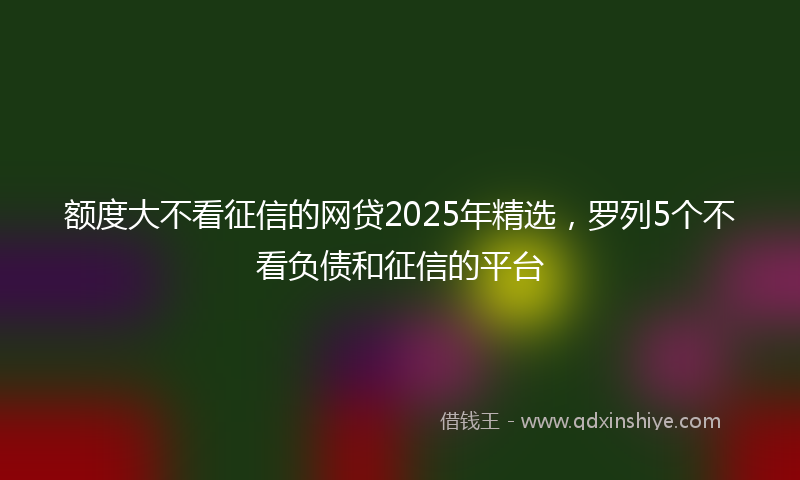 额度大不看征信的网贷2025年精选，罗列5个不看负债和征信的平台