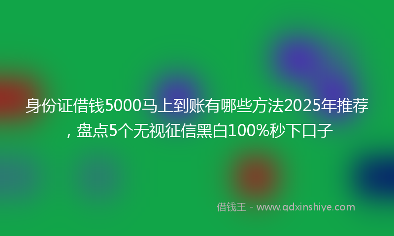 身份证借钱5000马上到账有哪些方法2025年推荐，盘点5个无视征信黑白100%秒下口子