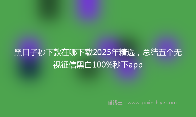 黑口子秒下款在哪下载2025年精选，总结五个无视征信黑白100%秒下app