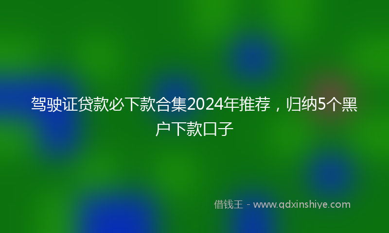 驾驶证贷款必下款合集2024年推荐，归纳5个黑户下款口子