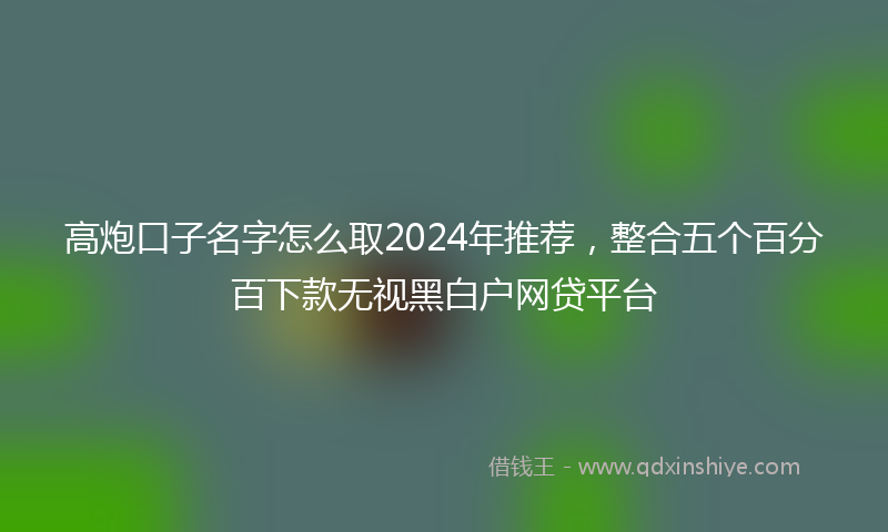 高炮口子名字怎么取2024年推荐，整合五个百分百下款无视黑白户网贷平台