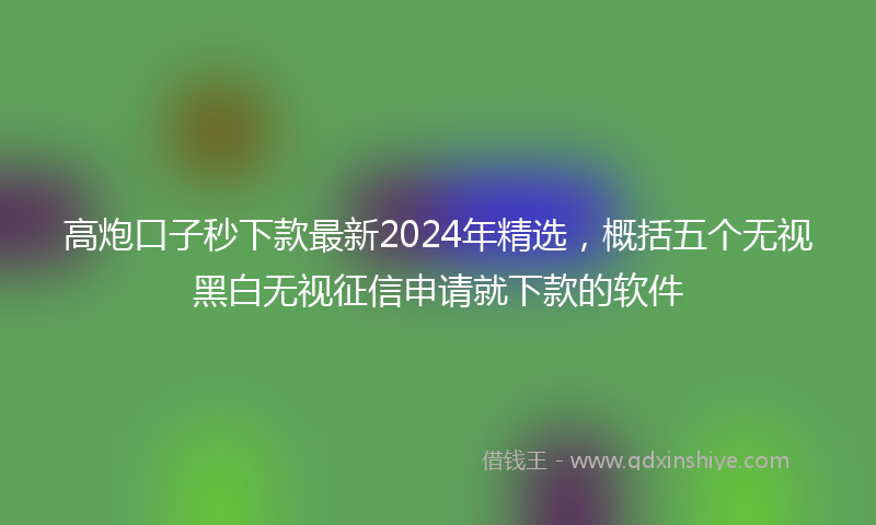 高炮口子秒下款最新2024年精选，概括五个无视黑白无视征信申请就下款的软件