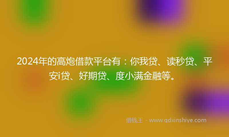 2024年的高炮借款平台有：你我贷、读秒贷、平安i贷、好期贷、度小满金融等。