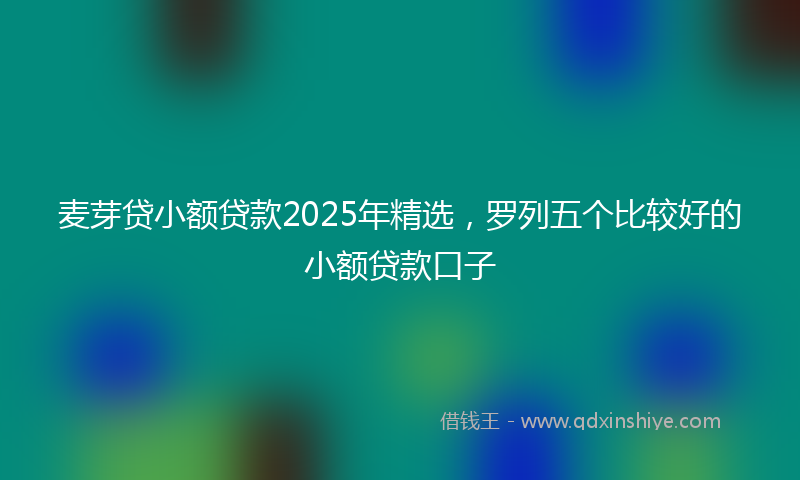 麦芽贷小额贷款2025年精选，罗列五个比较好的小额贷款口子