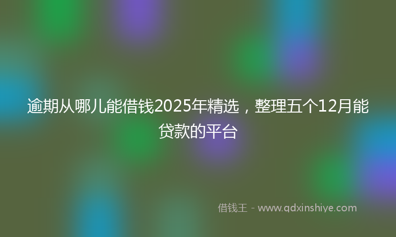 逾期从哪儿能借钱2025年精选，整理五个12月能贷款的平台