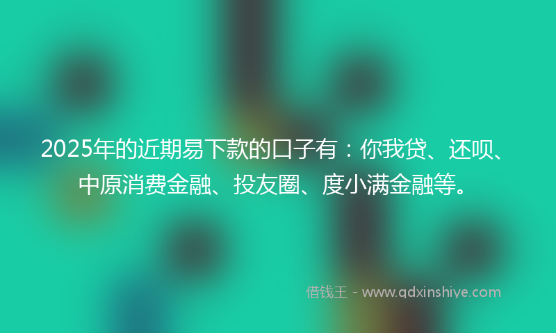 2025年的近期易下款的口子有：你我贷、还呗、中原消费金融、投友圈、度小满金融等。
