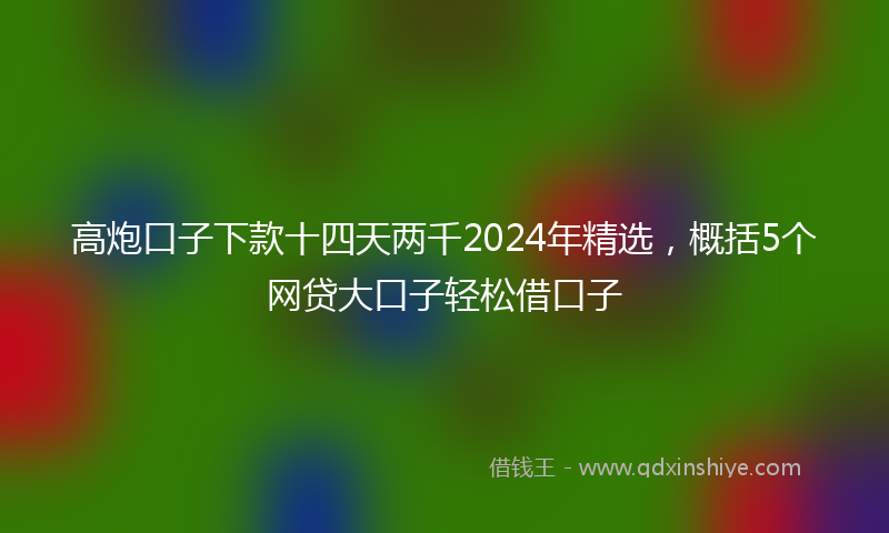 高炮口子下款十四天两千2024年精选，概括5个网贷大口子轻松借口子