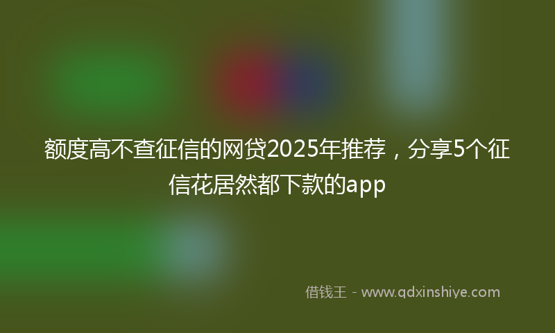 额度高不查征信的网贷2025年推荐，分享5个征信花居然都下款的app
