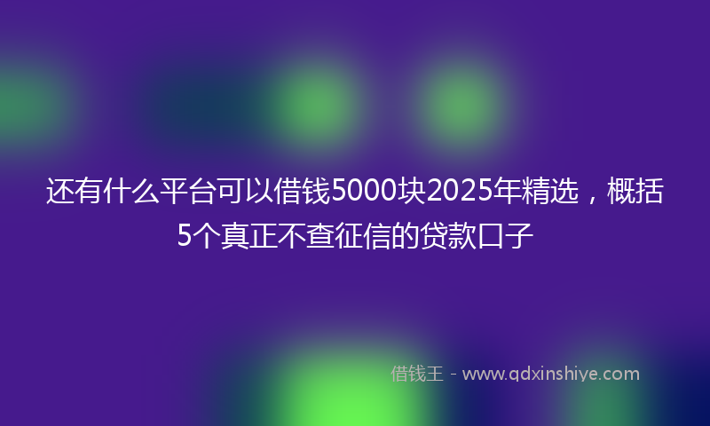 还有什么平台可以借钱5000块2025年精选，概括5个真正不查征信的贷款口子