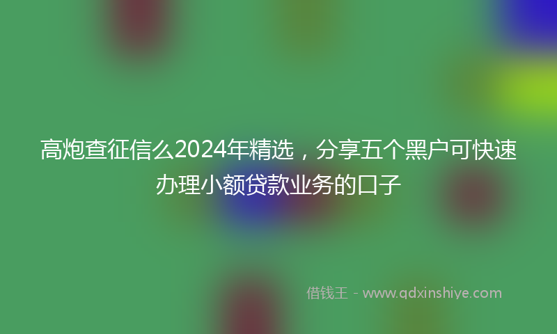 高炮查征信么2024年精选，分享五个黑户可快速办理小额贷款业务的口子