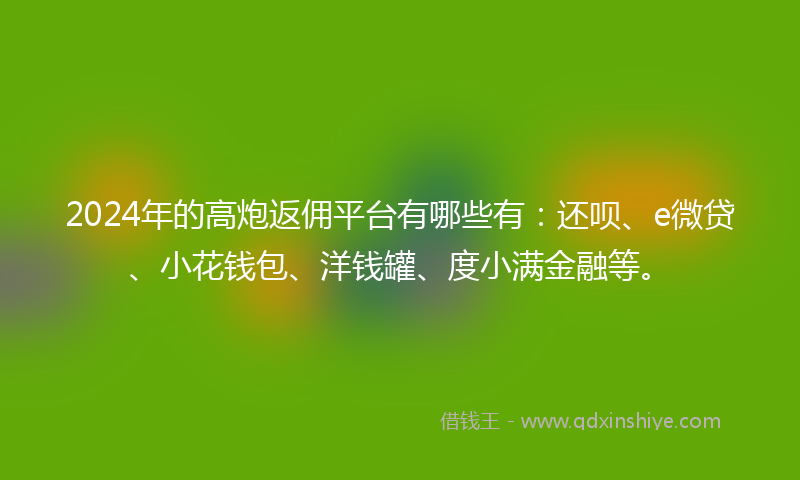 2024年的高炮返佣平台有哪些有：还呗、e微贷、小花钱包、洋钱罐、度小满金融等。